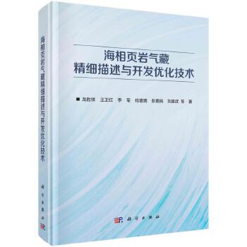 海相頁巖氣藏精細描述與開發優化技術 科學出版社